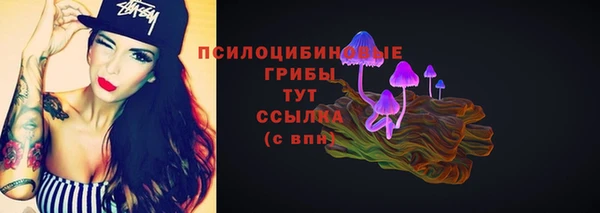 круглые Алзамай
