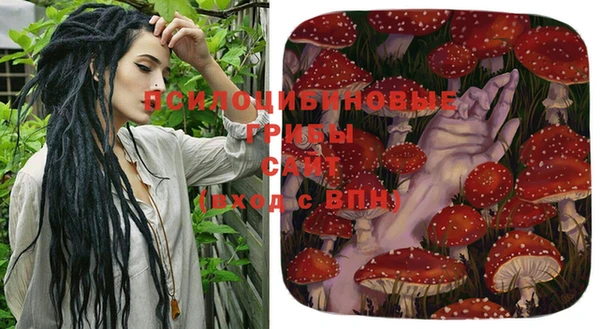 не бодяженный Инта