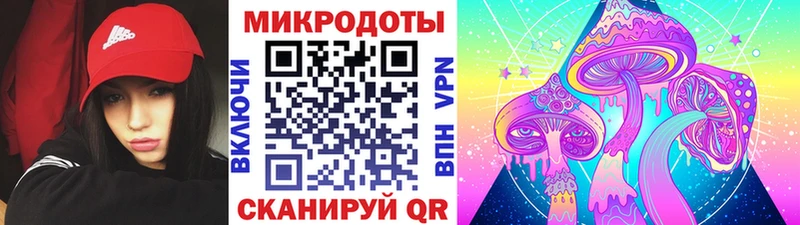Галлюциногенные грибы Cubensis Орск